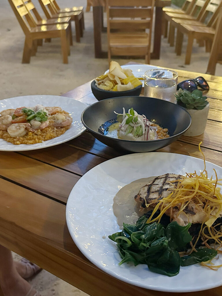 コスタリカでのディナー。シュリンプのリゾット。セヴィーチェ。白身魚の料理
