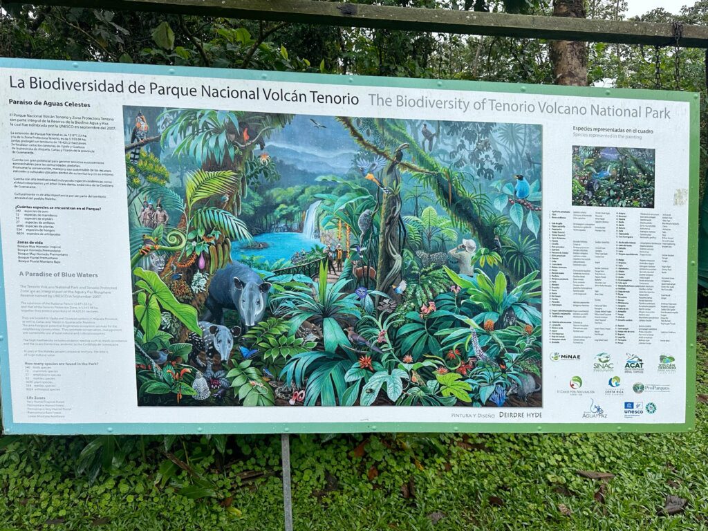 テノリオ火山国立公園に住む動物＆植物たち