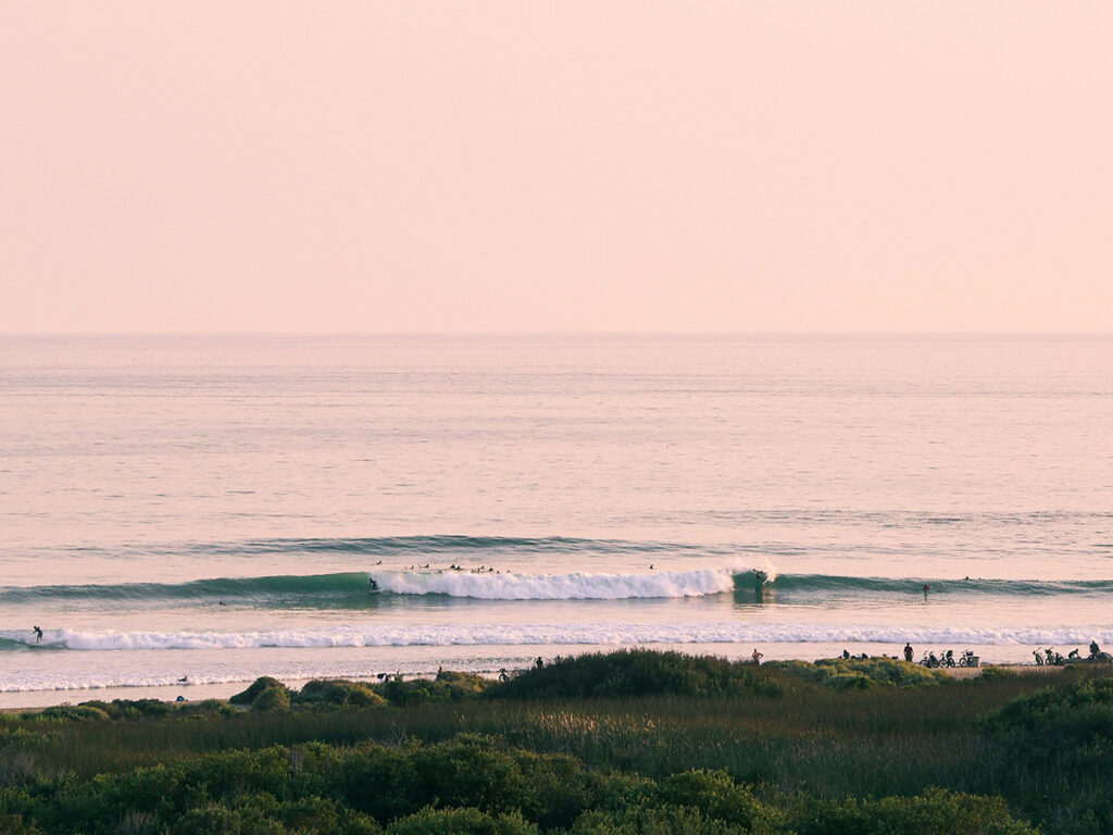 Lowers・ローワーズ Photo on Unsplash