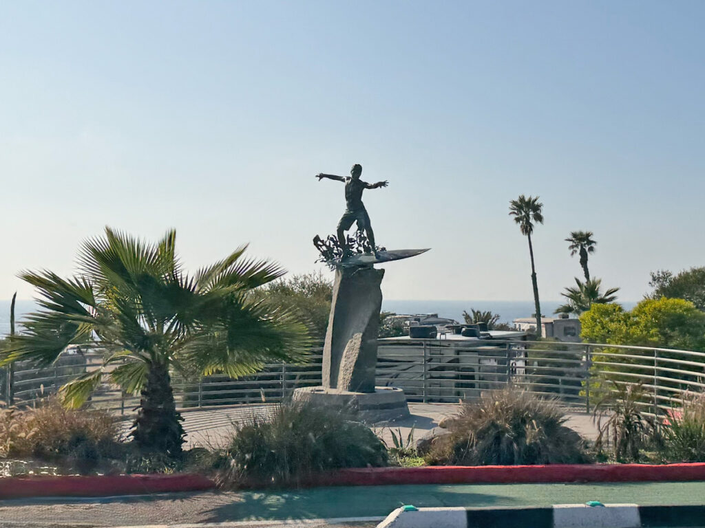 “Magic Carpet Ride”(通称 Cardiff Kook/カーディフ・クック)