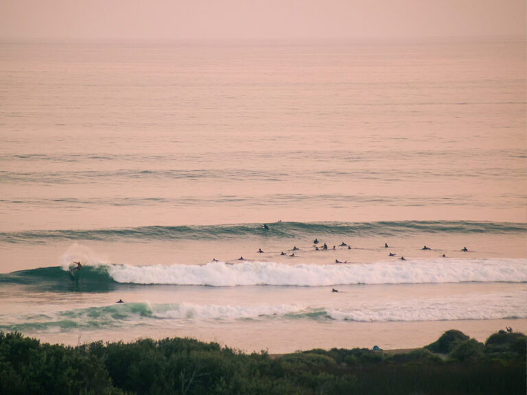 ロウワー・トラッセルズ(Lower Trestles) Photo on Unsplash
